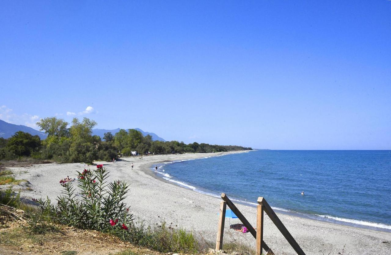 Punta Di Mare Lejlighedshotel Linguizzetta Eksteriør billede